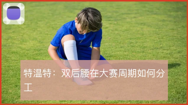 特温特:双后腰在大赛周期如何分工